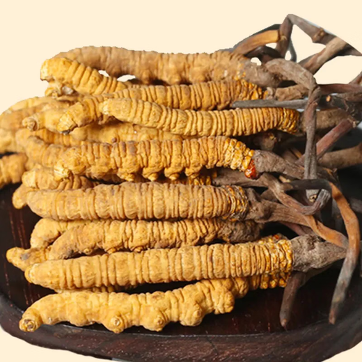 Beijing Tongrentang Quality Cordyceps Lhasa Shipping Authentic Cordyceps Gift Box Pack Broken Cordyceps Dry Gift Gift Box Gift Box 2 1 gram Complete Cordyceps 100 Roots 50 grams in total [Independent Tube Installation]