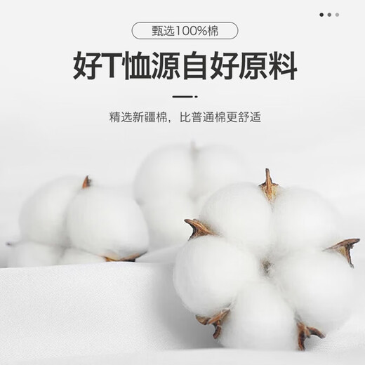 Nanjiren long-sleeved T-shirt men's bottoming shirt solid color inner top bottoming round neck loose pure cotton long-sleeved men's white long-sleeved M