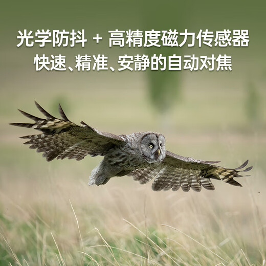 SIGMA 150-600mm F5-6.3 DG DN OS full-frame mirrorless telephoto super telephoto zoom lens Sony E-mount basic protection free UV lens does not include main picture accessories