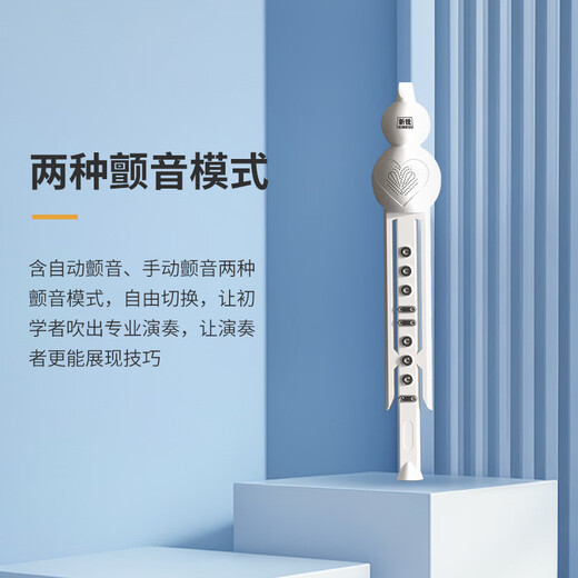 相思鸟电葫芦丝乐器电子吹管电子笛电萨10种音色初学者乐器 白色