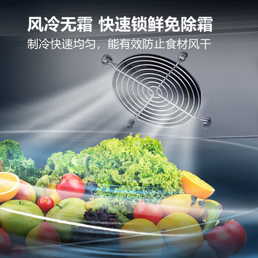 Snowflake display cabinet refrigeration and fresh-keeping cabinet large-capacity beverage cabinet freezer commercial supermarket glass door refrigerator vertical beer cabinet direct air cooling丨double door unloading丨high efficiency and energy saving