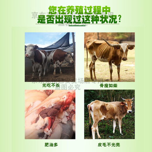 Kelunbaan cattle and sheep fattening and growth-promoting feed additives cattle feed meat growth premix to remove oil and small ingredients, factory direct delivery 7.5kg/barrel