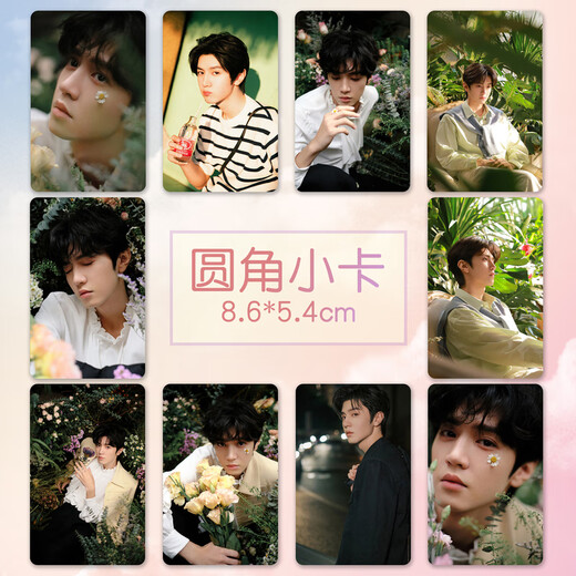 Qian Dejun Chen Zheyuan small card New star peripheral high-definition coated paper card custom laminated small photo set of 10 C (small card) 8.5X5.4cm rounded corner small card 10 pieces