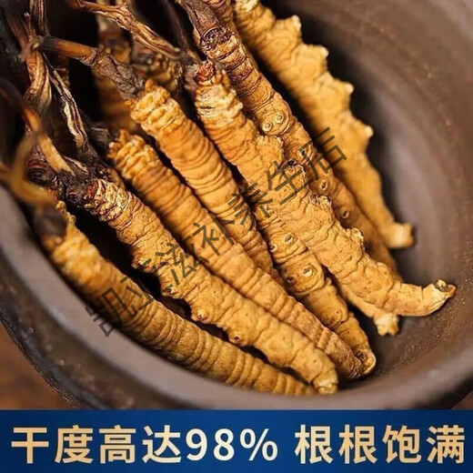 北京同仁堂正宗虫草10根礼盒装2024年头期藏区冬虫夏草 每根0.5克虫草王10根【共5克】礼罐装