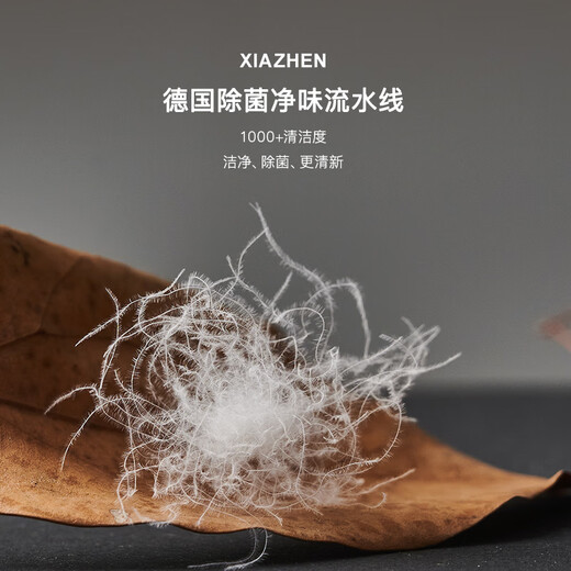 XIAZHEN down quilt 95% white goose quilt core 100 cotton antibacterial anti-velvet warm goose quilt Spring and autumn quilt - recommended room temperature 15-20 200*230CM