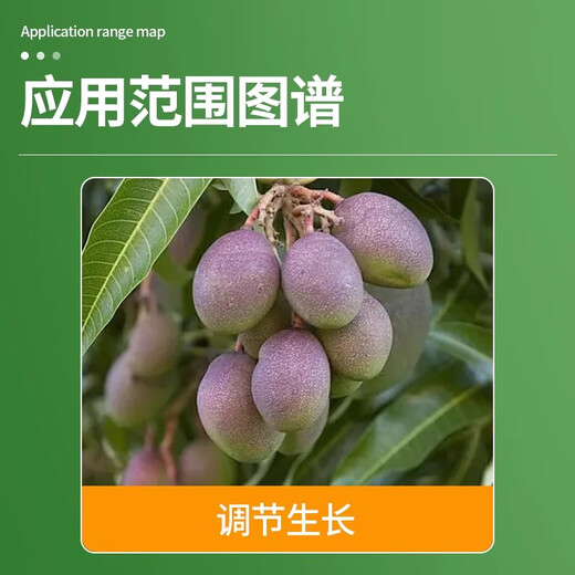 25 Paclobutrazol promotes lateral growth and branching, controls vigorous dwarfing, and regulates growth of chlormequat 100g