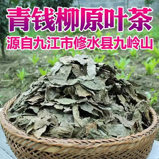 Qingqian Liuyuan Blatt Tee Jiangxi Xiushui Wild Money Willow Natural Qingqian Willow Blatt Chinese Kräutermedizin Gesundheit und Tonic Tea 500-jährige Baum Qingqian Liuyuan Blatt 250g Authentische Xiushui Wild Money Willow Leaf Leaf