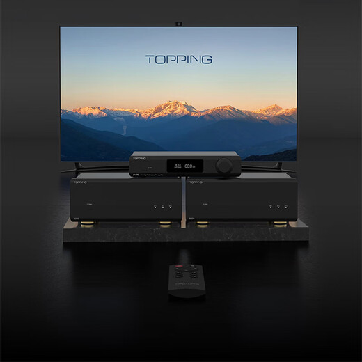 TOPPING拓品 B200 大功率单声道纯后级200W功放HiFi台式音箱功率放大器 B200黑色