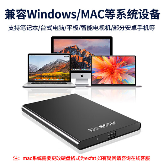 KESU mobile Festplatte, große Kapazität, USB 3.0, sichere Verschlüsselung, hohe Geschwindigkeit, externe mechanische Festplatte, große U-Disk, Edelmetall – Space Grau + Festplattenpaket 512 GB – Geschwindigkeitsversion 520 MB/s