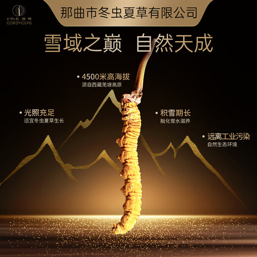 那曲冬虫夏草那曲野生冬虫夏草 滋补高端礼盒 3根/g 营养送长辈补品送领导送礼 【藏源精粹】25根 8.3g