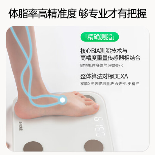 Mint Health Intelligent Body Fat Scale Fitness Weight Scale Bluetooth Accurate Measurement and Fat Calculation Dormitory Home Use