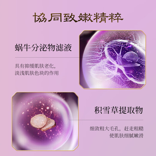 韩肌美灵芝润肤美颜套盒弹润紧实补水保湿水乳套装礼盒 六件套 盒 六件套