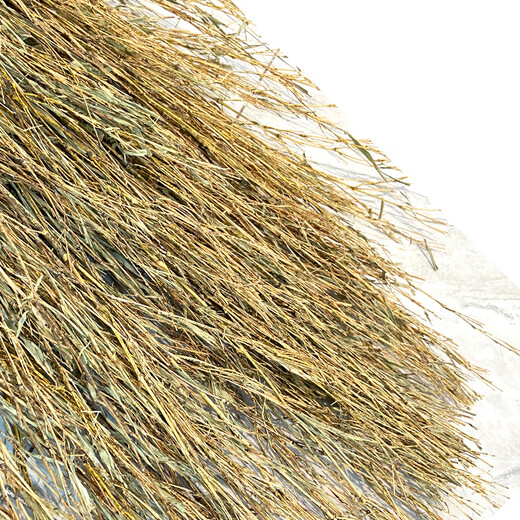 Caiyile large broom five-broom sanitation bamboo broom road property asphalt road outdoor floor cleaning large broom 3.5 bamboo branches conjoined five-broom