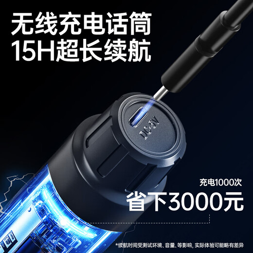 NINTAUS wireless microphone one-to-two home KTV professional karaoke singing microphone teaching stage conference hosting performance special handheld wireless microphone OK-12D gold