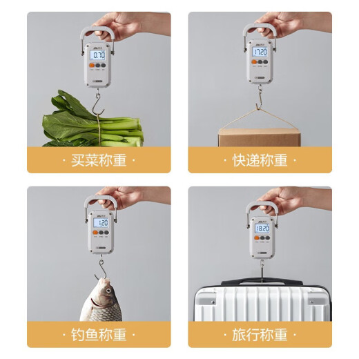 香山手提秤便携式电子秤行李秤 高精度克秤称重快递称迷你吊钩秤 EP190-电池款白-精准到5g 礼物