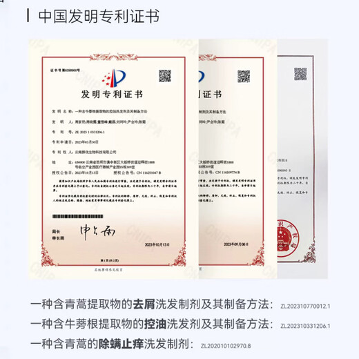 征服洗发水青蒿防螨去屑止痒生姜养发控油洗发乳头皮精华素男女洗发露 生姜强韧护发洗发乳728ml