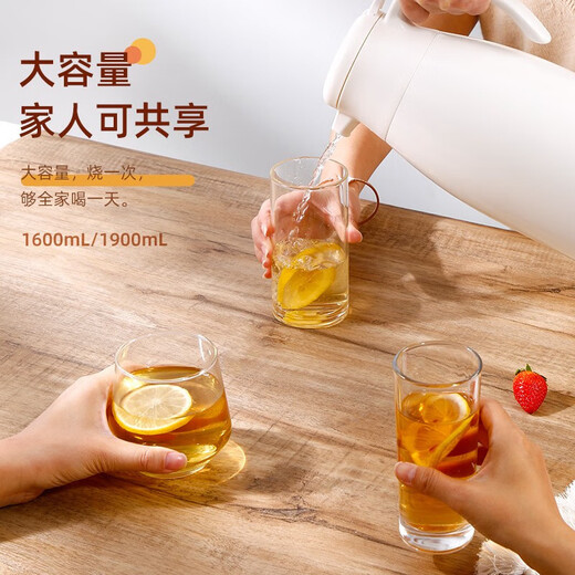 富光保温壶家用大容量热水瓶母亲节礼物暖水瓶壶宿舍办公水壶1.6L