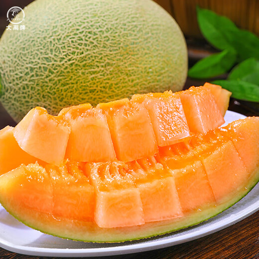 Dayu Xinjiang Hami melon seed seedlings mesh melon early maturing jade mushroom ice cream melon seeds southern Melon Prince No. 3 Hami melon seeds 30 capsules