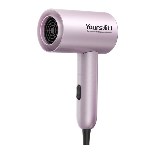 Yongri Portable Sèche-cheveux à haute puissance pour séchoir de cheveux de dortoir à la maison Haule Température constante Sécheur de cheveux Yongri 6629 1800W