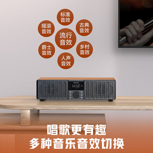 山水（SANSUI）N15家用无线蓝牙音响低音炮桌面ktv功放无损HiFi音箱专业音乐播放器客厅电视小型扩音器音箱 【家庭KTV音响】N13旗舰无麦版 【4D环绕震撼重低音桌面音响】