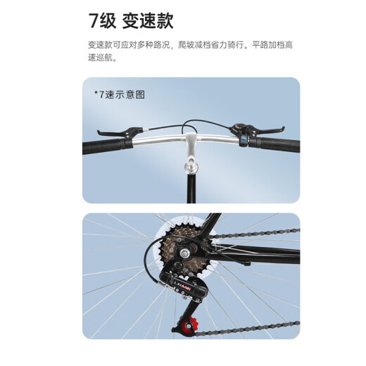 Permanente Bicicleta de carretera Hombres y mujeres Simple Road Bicycle 700C Velocidad única Velocidad Velocidad urbana Commuting Leisure Estudiante adulto Bicicleta Fog gris [Mango recto] 7 Velocidad [Modelo de cambio]