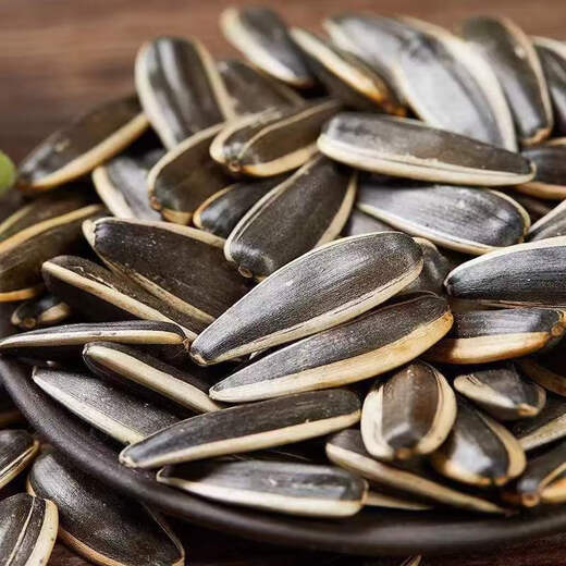 Hanning Extra Large Sunflower Seeds Original Raw and Cooked Sunflower Seeds Available in Large Bags Jin Jin Equals 0.5kg Jin Jin Equals 0.5kg Raw Melon Seeds and Sunflower Seeds New Arrival Jin Jin Equals 0.5kg Selected Large Particles of Fried Original Sunflower 2Jin Jin Equals 0.5kg