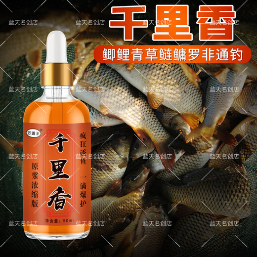 Dongwen Senrixiang Super Concentrated Fish Lure Bait Wild Fishing Black Pit Universal Four Seasons Outdoor Fishing Special Fish Lure Opening 1 Bottle