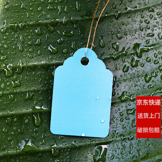 100张PVC彩色塑料植物吊签牌花卉园艺盆栽小挂牌苗木吊牌多肉标签 3.6x2.5cm白色/100张一捆