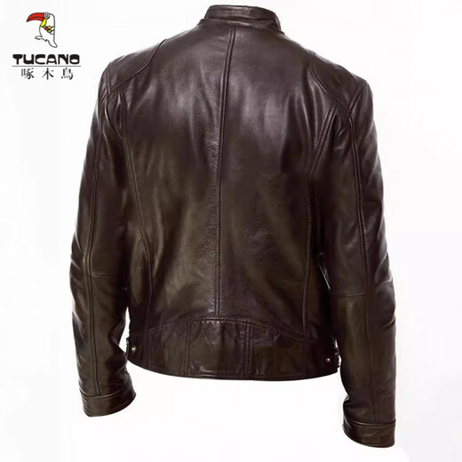 Woodpecker (TUCANO) 2026 Men's Leather Jacket Men's Teen Stand Collar Punk Men's Motorcycle Leather Jacket Plus Brown M