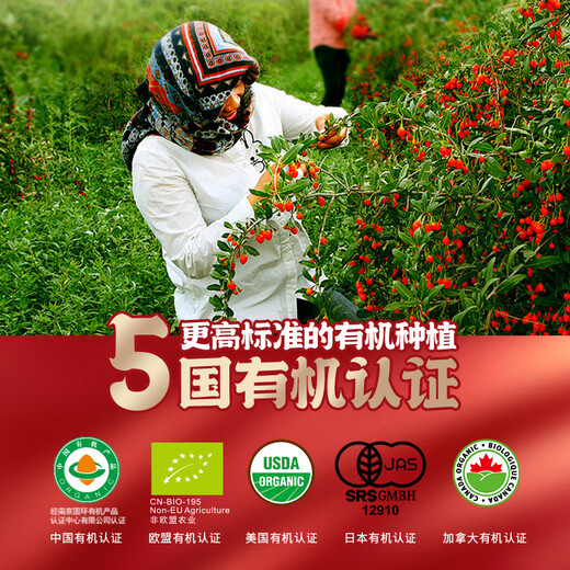 雷允上青海特级高端有机枸杞105g 无硫熏独立装即食嚼着吃免洗养生茶