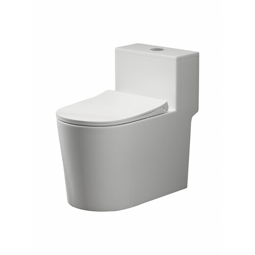 ARROW ARROW toilet seat household flushing toilet deodorant small apartment water-saving super swirl siphon toilet C6 new style - double shallow water / no more splashing water - 5 holes super swirl 300mm