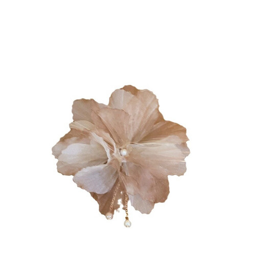 Meng Keduo New Chinese Flower Ancient Style Hairpin Women's Tassel Hair Fork Chinese Style Hanfu Headdress Step-Shaking Hair Accessories Hairpin Hairpin Champagne Color 1