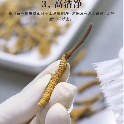秦仁堂冬虫夏草 5根/g 4克 约20根礼盒装送礼佳品营养品冬虫夏草礼盒