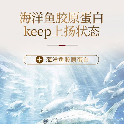 同仁堂（TRT）总统北京同仁堂白燕丝胶原蛋白冰糖燕窝70g*12瓶送女友妈妈礼盒