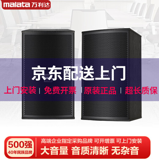 Malata audio set home KTV audio shop stage training room dance studio Bluetooth amplifier microphone speaker 12-inch five-unit audio pair + amplifier + microphone