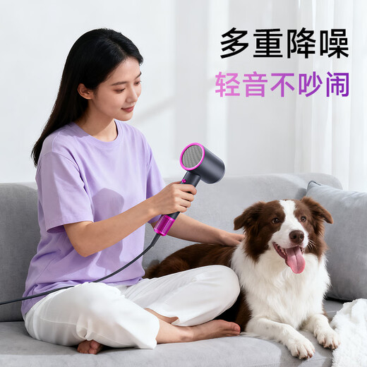 AUX hair dryer household high-speed high-wind hair dryer negative ion hair care does not hurt hair portable hair dryer 2400W high-power hair dryer for men and women