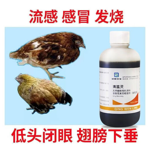 Qingwenling, wind-cold, wind-heat, cold, withered wings, drooping eyes, drowsiness, no food, cold and fever