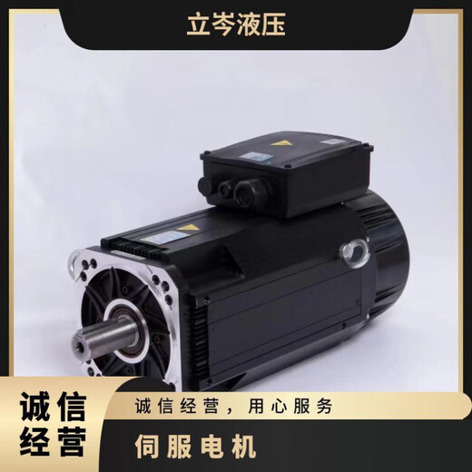 Haitian Hilectro Servo Motor HP12533 ​​HP12538 HP12542 Treiberpaket HP12529