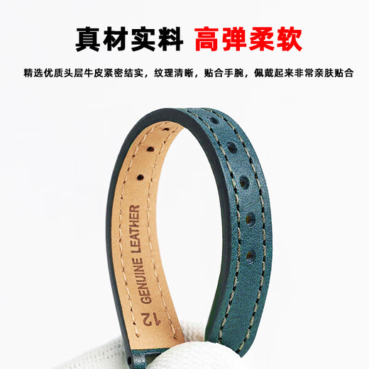 Zhuo Lei está adaptado a Coach Park Small Green Watch 14503534/3894 Women Smitch de cuero de tamaño pequeño Correa Oliva sin hebilla Ancho: 12 mm