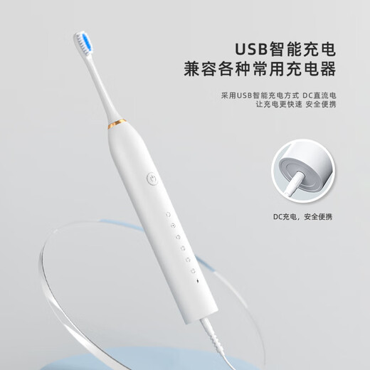 【明星推荐】电动牙刷磁悬浮成人充电 小米平替声波全自动智能防水软毛精致奢华情侣款牙刷 标准版珍珠白【4支杜邦刷头】6档模式
