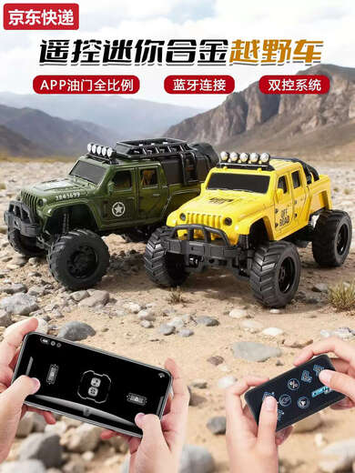 Maternity mother 2025 new remote control car mini desktop car rc off-road children's boy toy advanced black parent-child interaction 2 pack yellow + dark gray