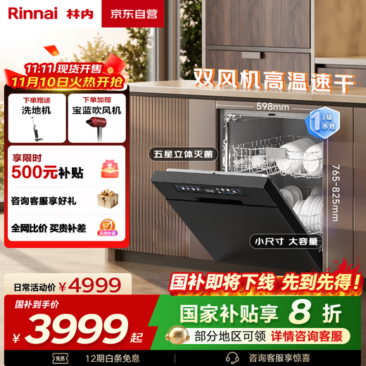 Rinnai Dishwasher Fully Automatic Home Intelligent Oil Removal Level One Water Efficiency 15 Sets Smart Dishwasher WQD15-NCG