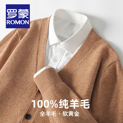 
ROMON (ROMON) 2024 new spring and autumn pure wool sweater for men V-neck youth business casual large size sweater for men wool jacket for men light gray XL