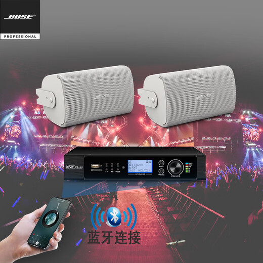 Bose DM2C-LP吸顶 FS2SE壁挂音箱 博士商用家庭蓝牙背景音乐套装 FS2SE白*2 + PS-6.0功放