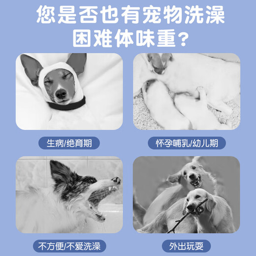 New pet wipes cleaning supplies disposable disposable gloves dog bathing gloves deodorizing cat ears, eyes and mouth new large and thickened disposable gloves 3 packs of 30 pieces