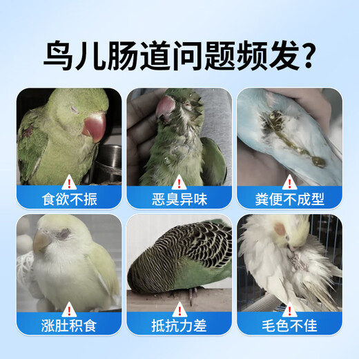 Probiotic live bacteria powder for birds, parrot, cockatiel, diarrhea and diarrhea, special electrolyte multi-dimensional glucose powder for birds, bird feed and additives, probiotics for birds 100g