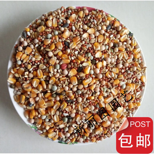 Is pigeon feed corn, sorghum, wheat, peas, pigeon food nutrition, pigeon food, bird food, pigeon food, letter for young pigeons, peas, 5 Jin, Jin is equal to 0.5 kg