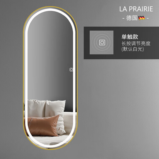 LA PRAIRIE德国 轻奢试衣镜led带灯全身镜贴墙智能镜子壁挂穿衣镜挂墙家用 金色单触无极调光(调亮度)-白光 60*165cm