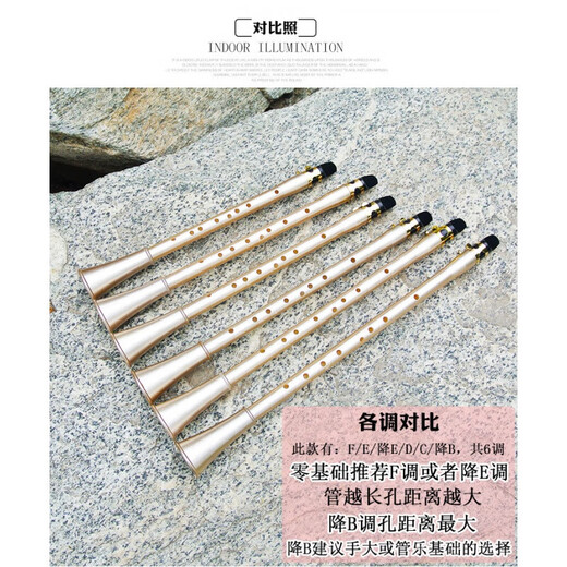 Shanbei clarinet simple saxophone resin-grade Chulesa black tube beginners E-down adjustment B-down adjustment F-down adjustment (total B-down (length 51.5CM zero instrument basic selection)