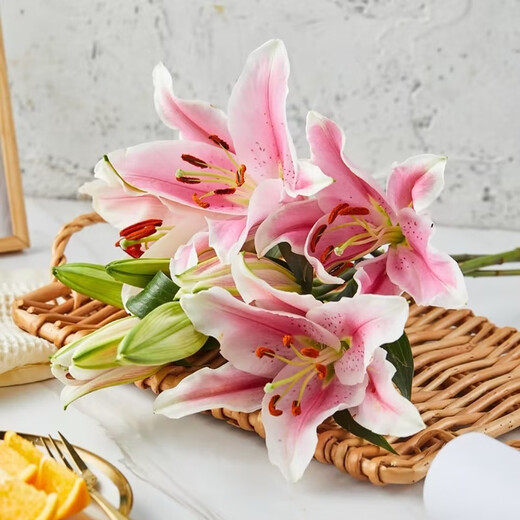 9 pink lilies (3-4 buds shipped)